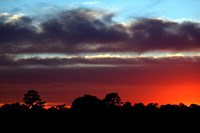 Red Sunset Glow  (click to enlarge)